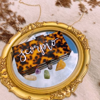 Custom Tortoise Shell Acrylic Clutch Custom Tortoise Shell Acrylic Clutch